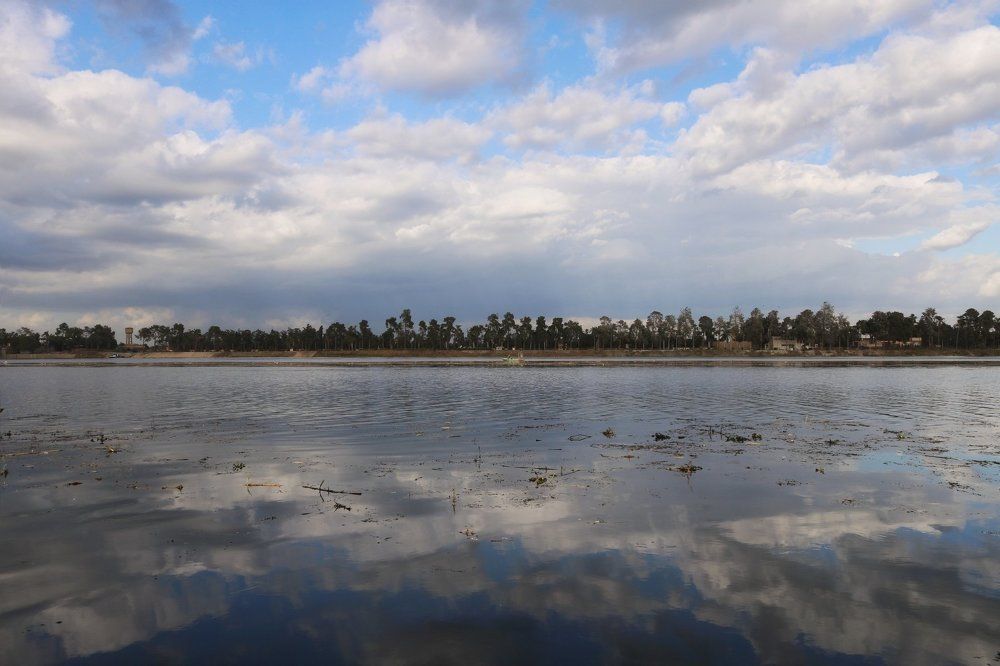 Фотография автора Adel elqamhawi Mohamed