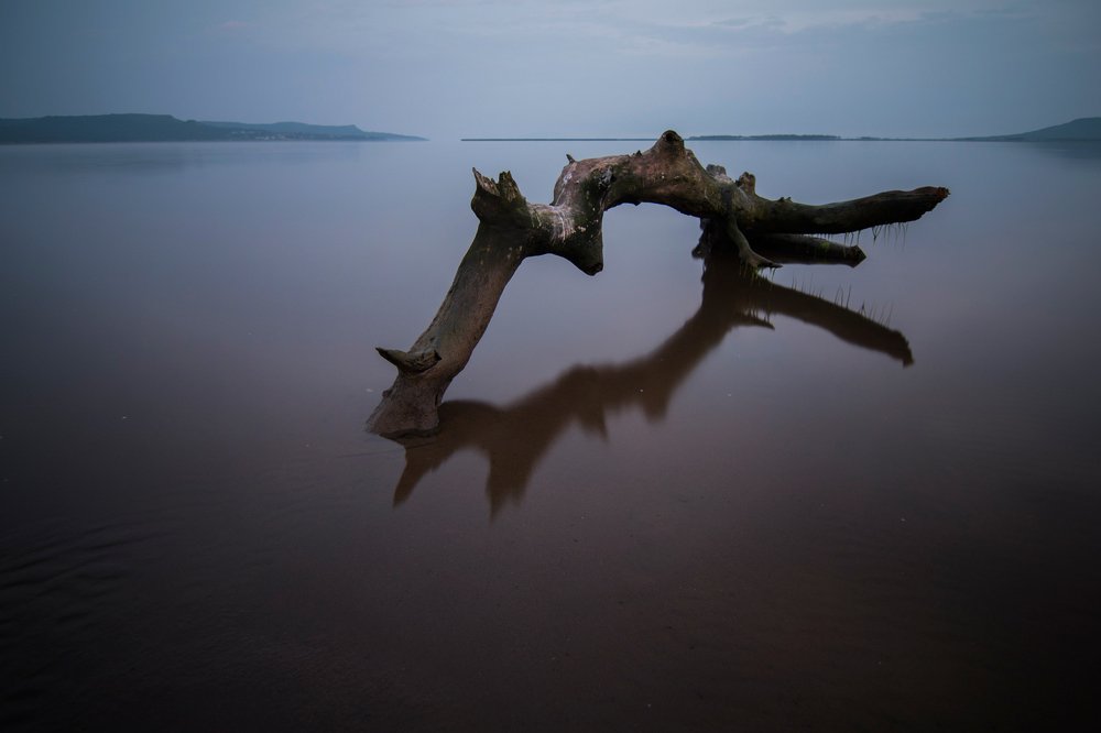 Photograph by Сигида Дмитрий