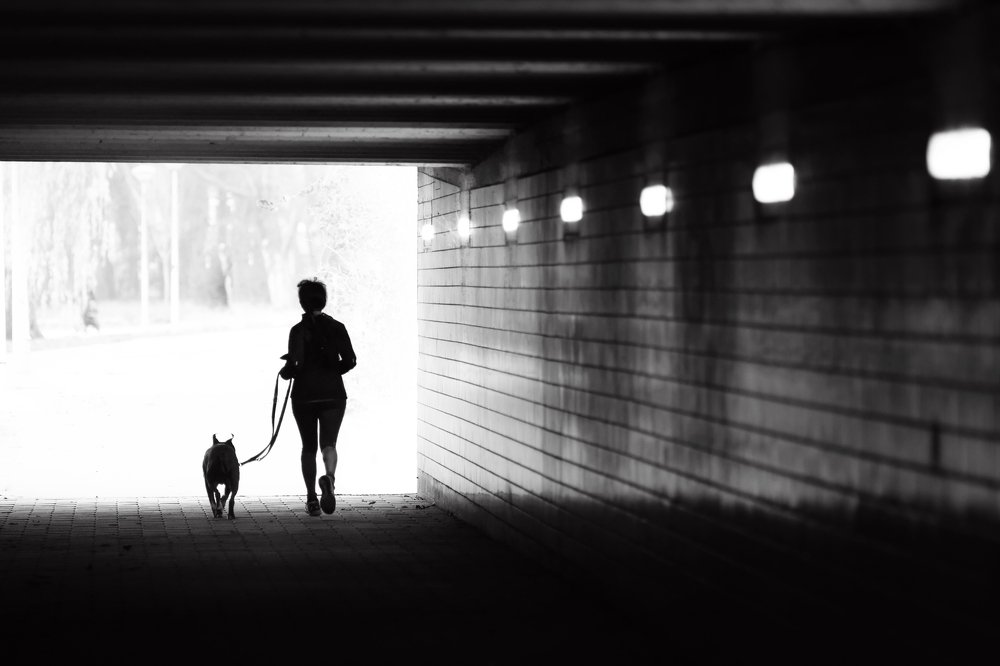 Photograph by Василь Камалов