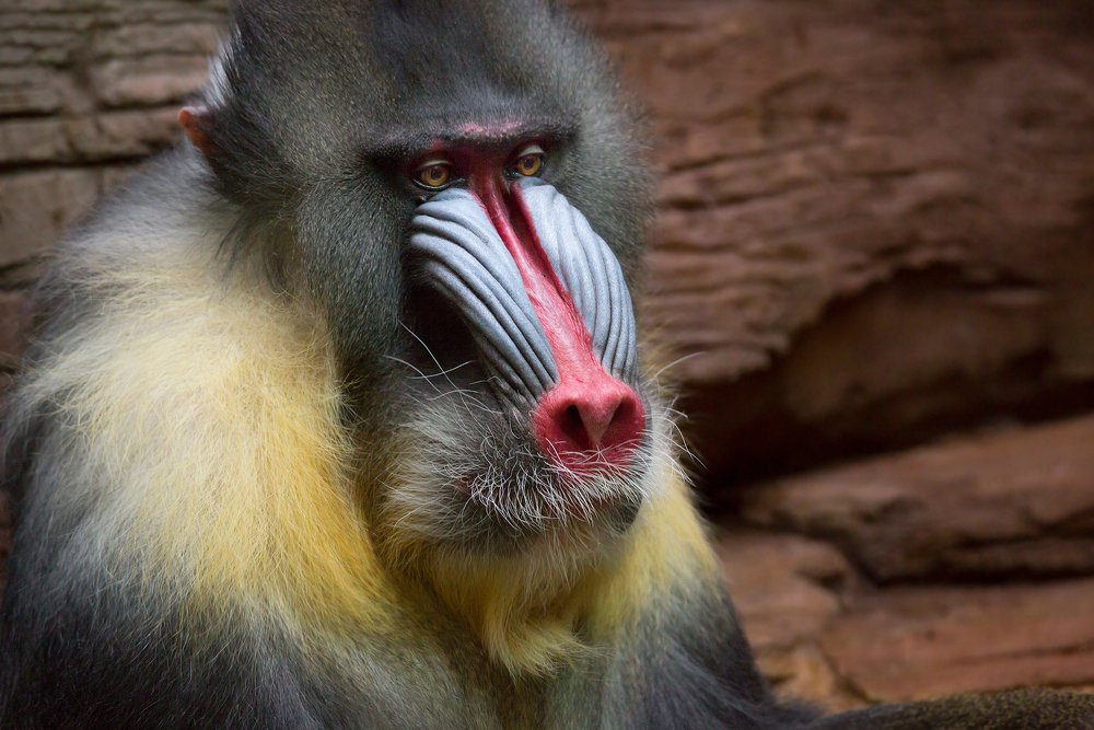 Photograph by Савина Галина