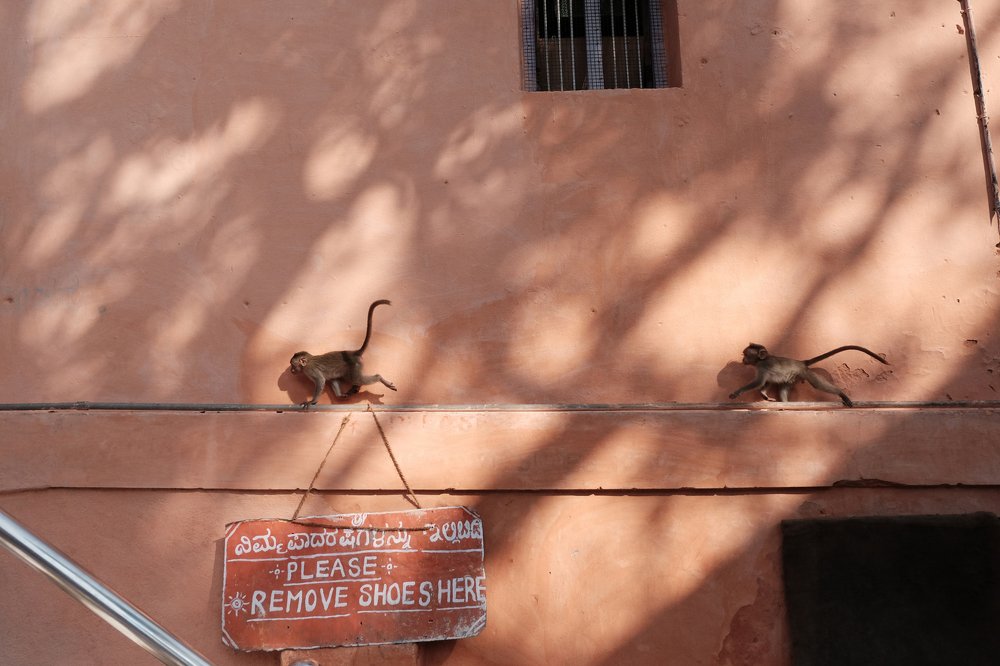 Photograph by Василь Камалов