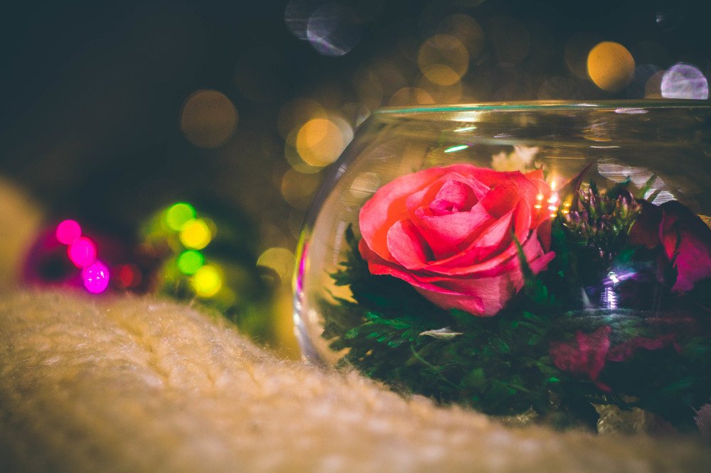 Photograph by Шаромов Иван