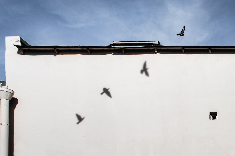 Photograph by Евгений Луцко