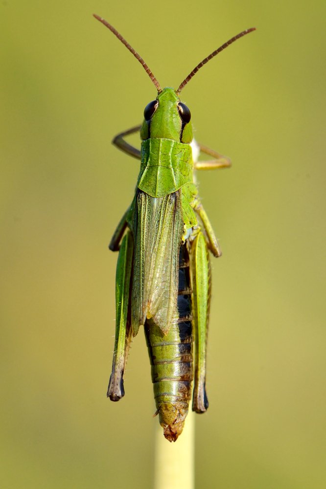 Photograph by Людмила Шалина