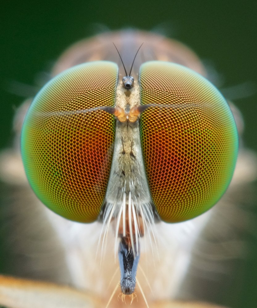 Photograph by Chuah Christopher