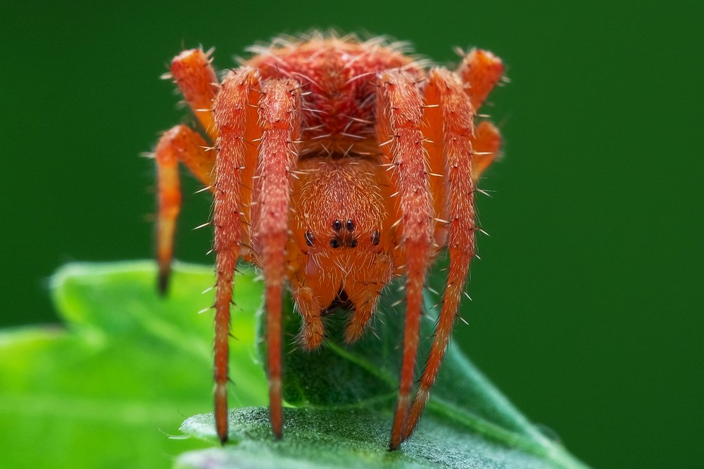 Photograph by Chuah Christopher