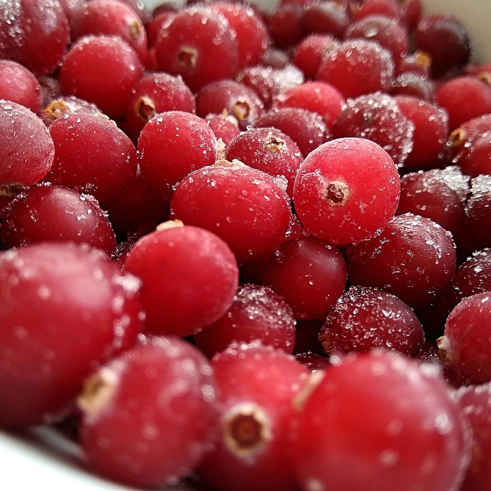 Photograph by Котова Юлия