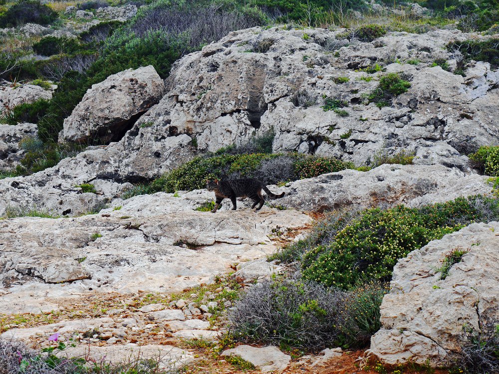 Photograph by Серафима Силина