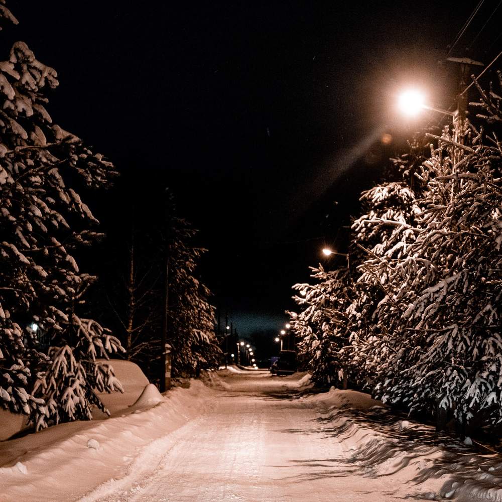 Photograph by Людмила Удоратина