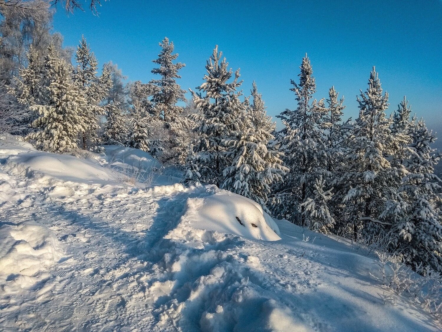 Photo #4183100