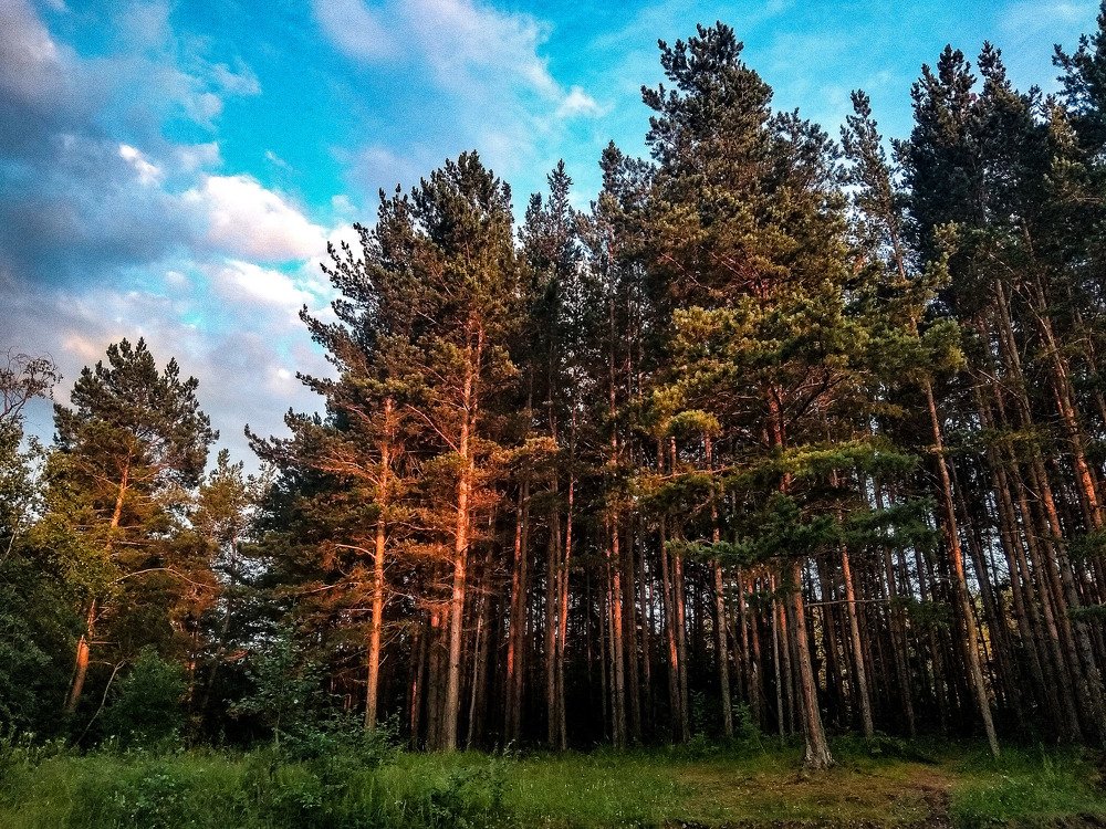 Photograph by Никита Юрин