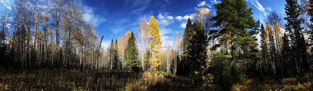 Photograph by Алёна Андреева