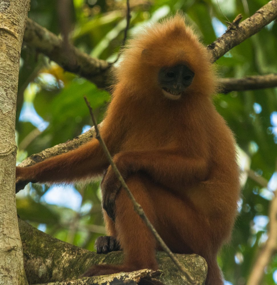 Photograph by Ryan Hevern