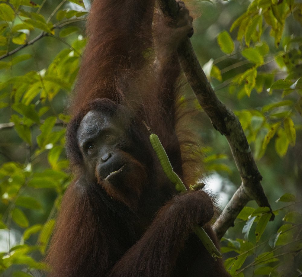 Photograph by Ryan Hevern