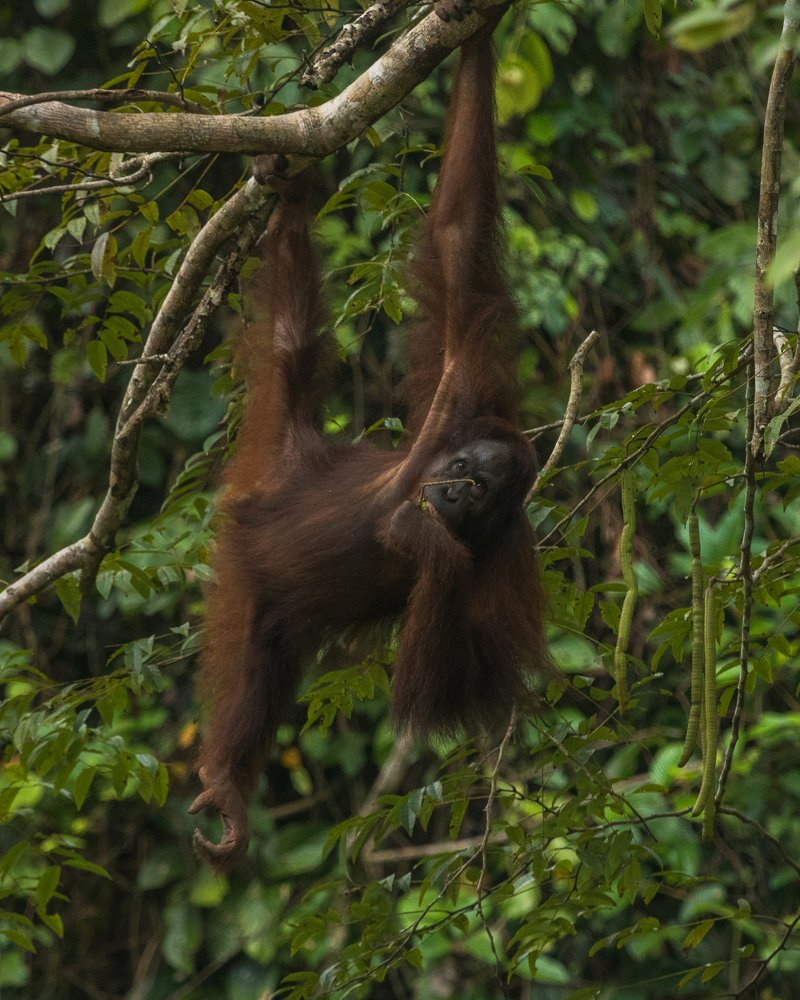 Photograph by Ryan Hevern