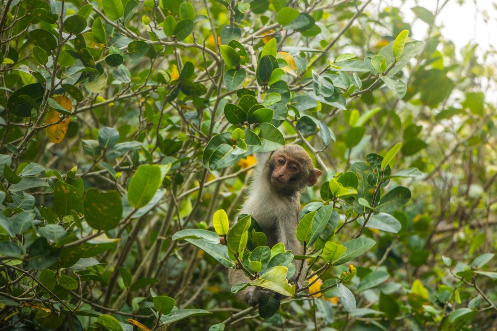 Photograph by Ryan Hevern