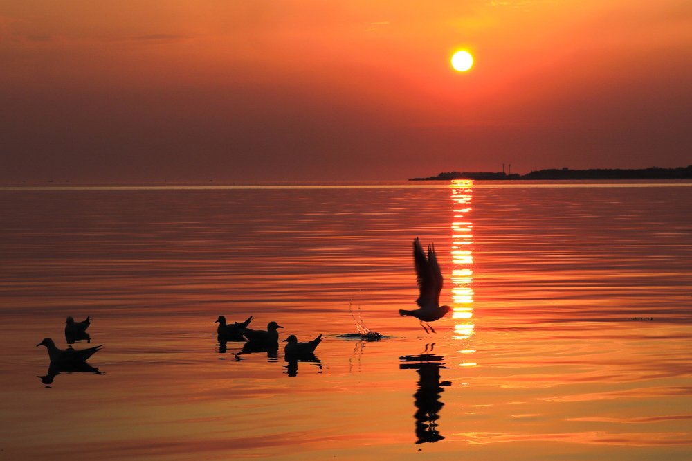 Photograph by Олег Башкуров