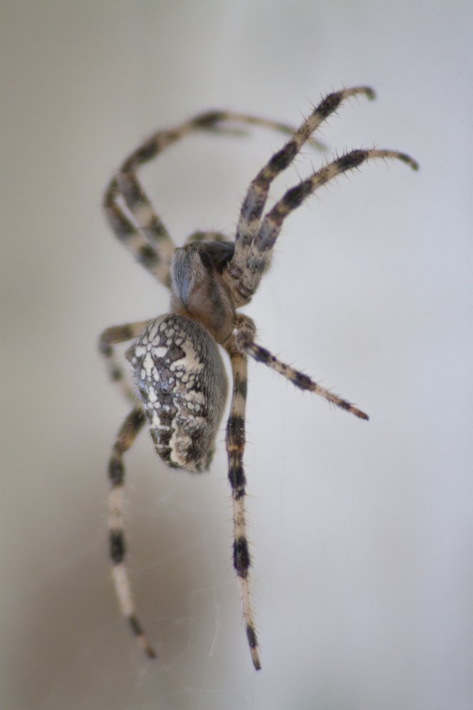 Photograph by Елена Демочкина