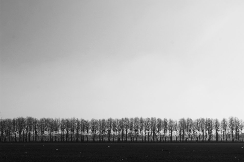 Photograph by davoud razian