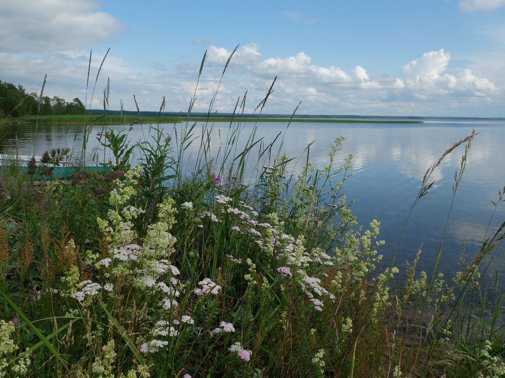 Photograph by Ираида Стародубцева