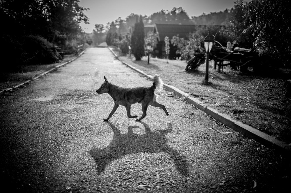 Photograph by Платон Занько