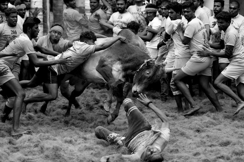 Photograph by Siva Prakash