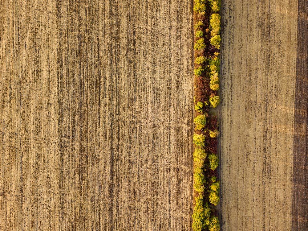 Photograph by Igor Sirbu