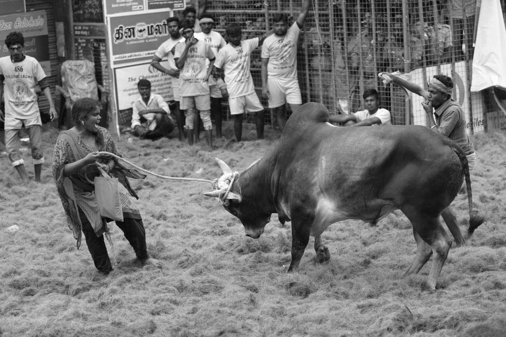 Photograph by Siva Prakash