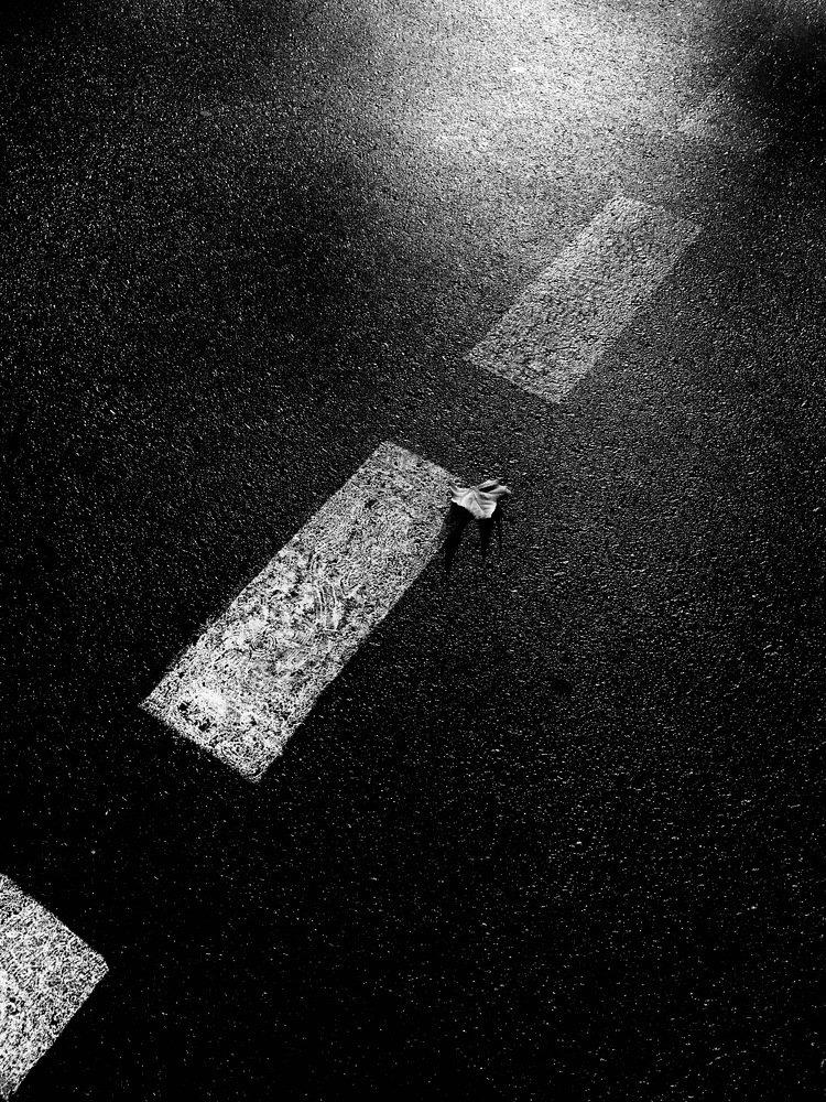 Photograph by Anna Tokarchuk