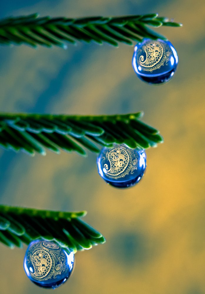 Water droplets like Christmas decorations