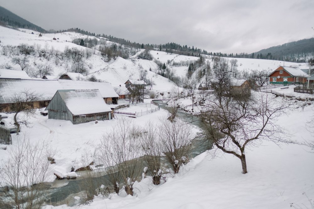 Photograph by Niko Lazur