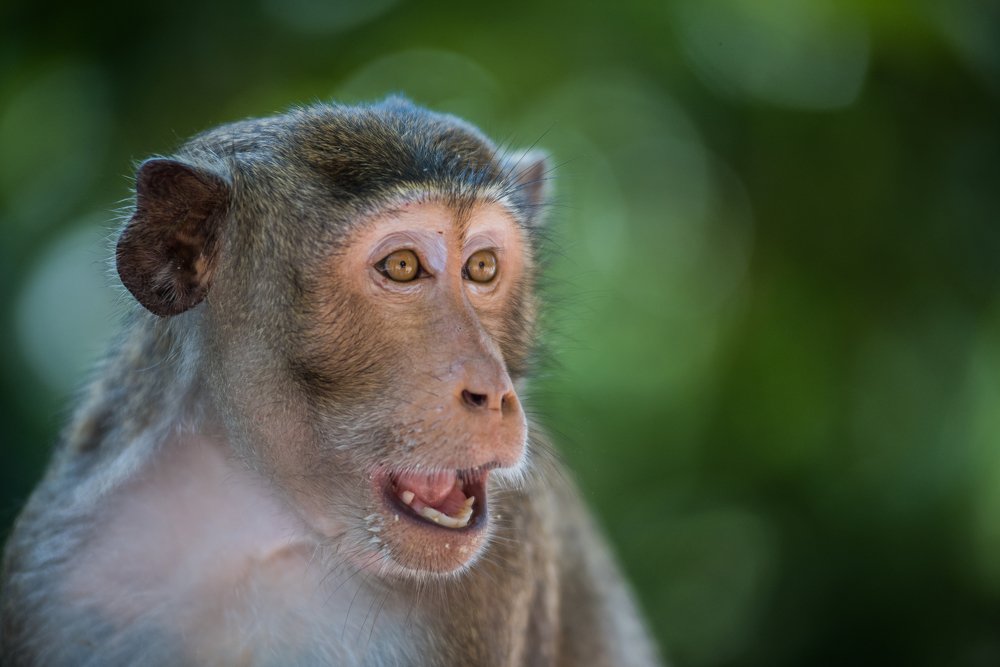 Photograph by Даркина Дарья