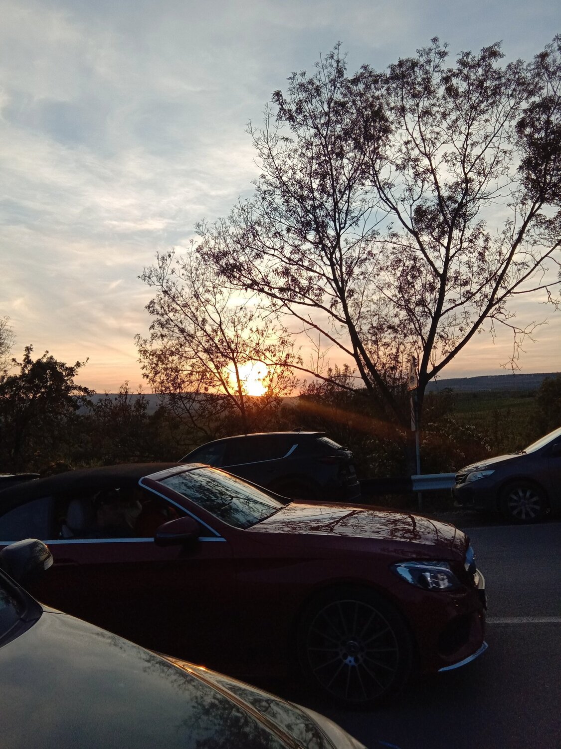 Photo #4183734
