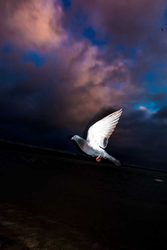 Фотография автора Rafal Ostapiuk