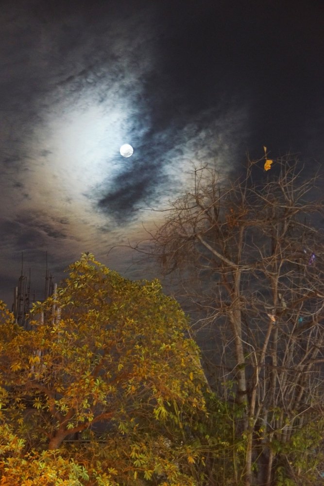 Фотография автора Pranay Shah