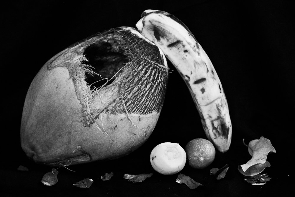 Photograph by Wendolyn Rodríguez