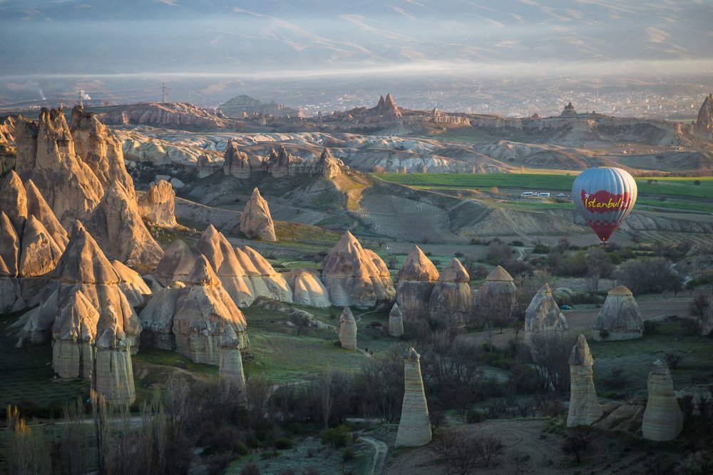 Photograph by Елена Шавловская