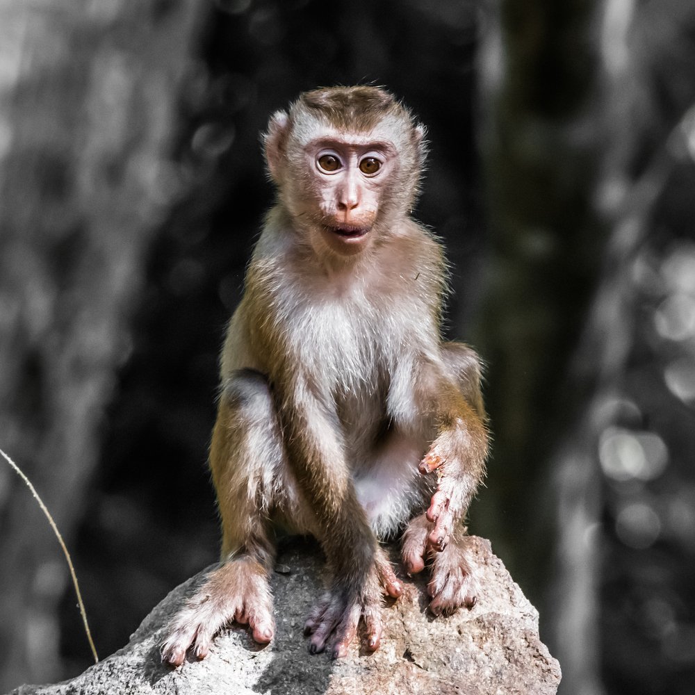 Photograph by Андрей Иванов