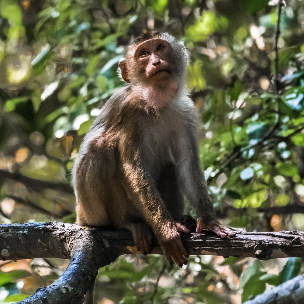 Photograph by Андрей Иванов