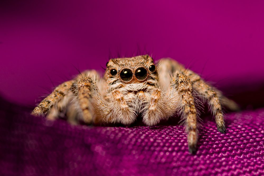 Photograph by Vahid Yavari