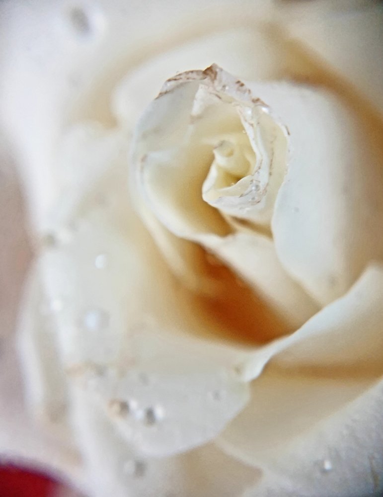 Photograph by Марина Гимеина