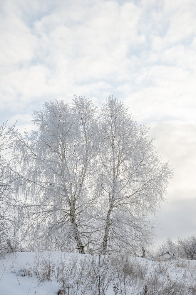 Photograph by Кузьма Чупин