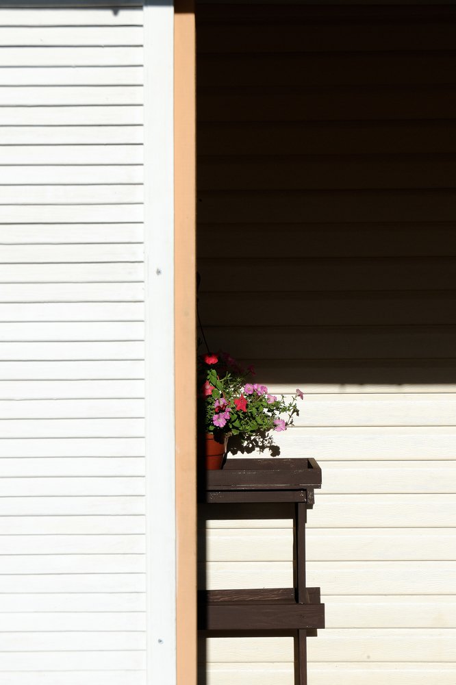 Photograph by Дмитрий Рысёв