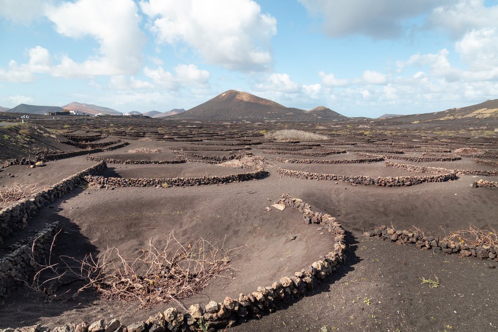 Photograph by Ilana Kalina