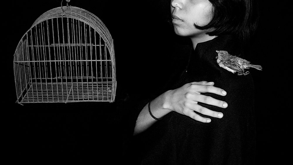 Photograph by Wendolyn Rodríguez