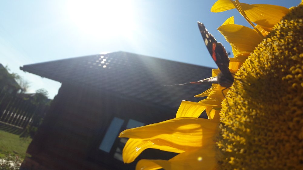 Photograph by Анастасия