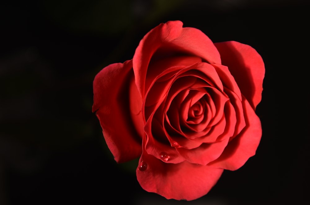 Photograph by Татьяна Козлова