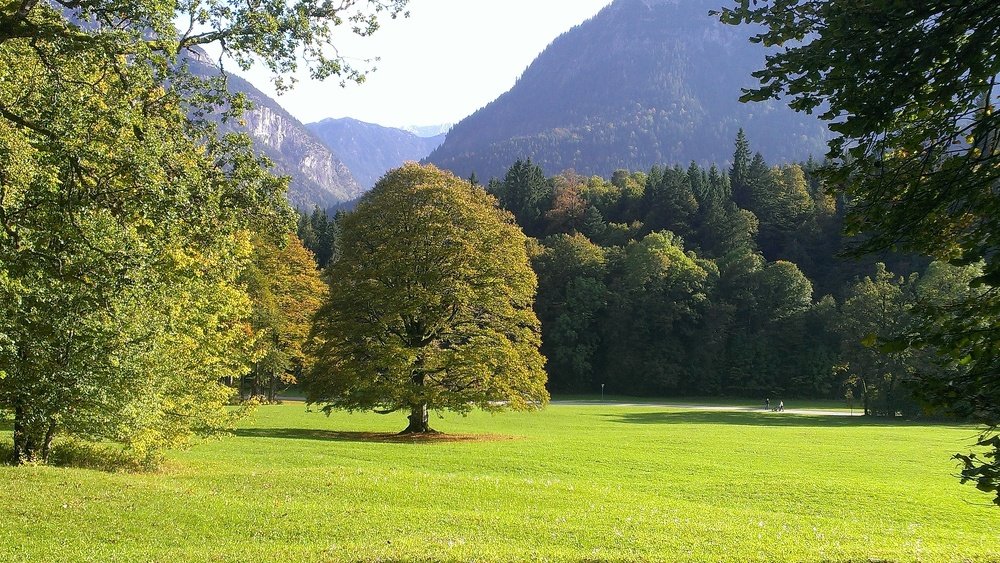 Photograph by Анастасия