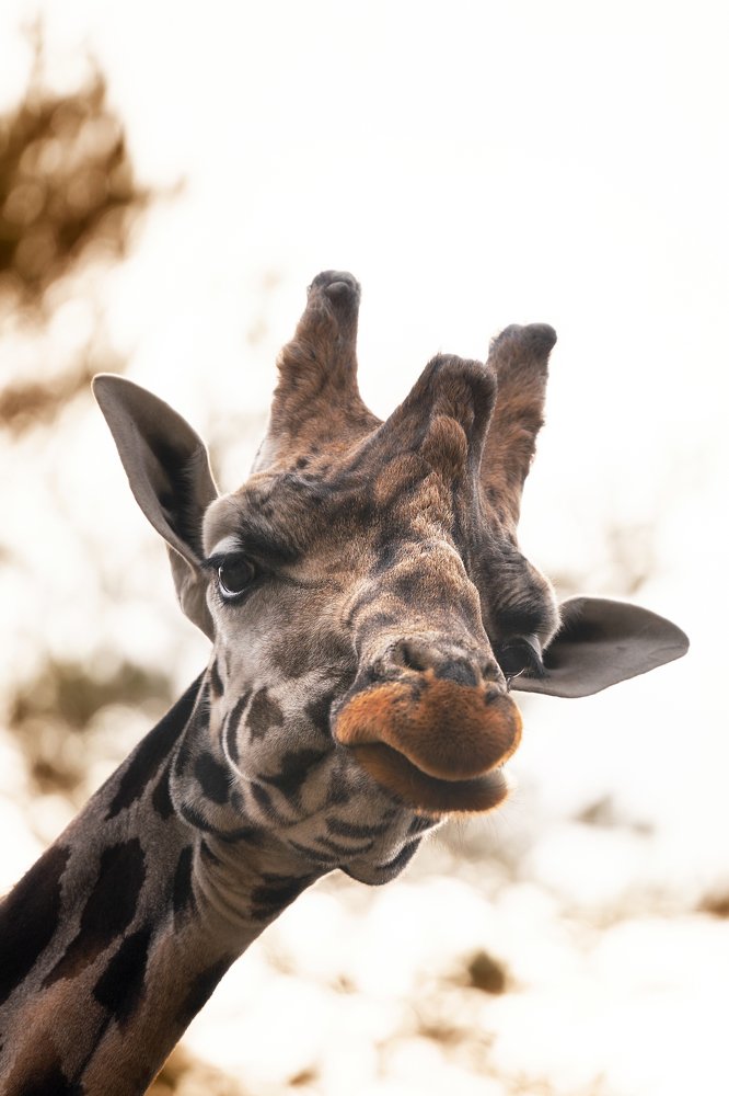 Photograph by Anna Grieta Freimane