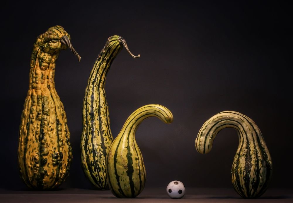 Photograph by Demeter Istvan